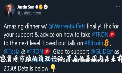 加密货币市场的清理行动：背后的原因与未来前景