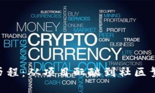 Tokenim开源历程：从项目酝酿到社区繁荣的逐步演变