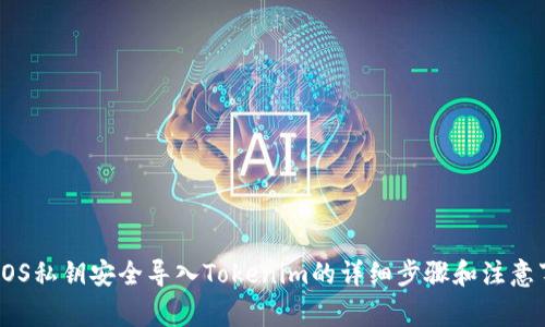 将EOS私钥安全导入Tokenim的详细步骤和注意事项