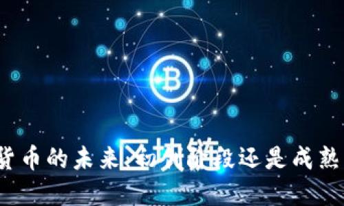 加密货币的未来：初创阶段还是成熟市场？