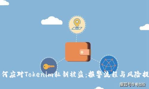 如何应对Tokenim私钥被盗：报警流程与风险提示