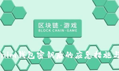 丢失Tokenim钱包密钥后的应急措施与恢复指南