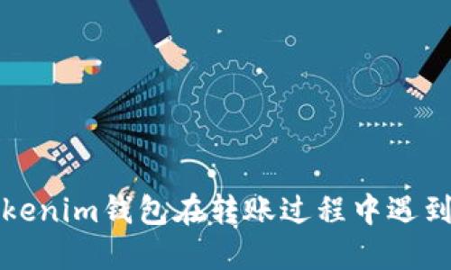 如何解决Tokenim钱包在转账过程中遇到的超时问题