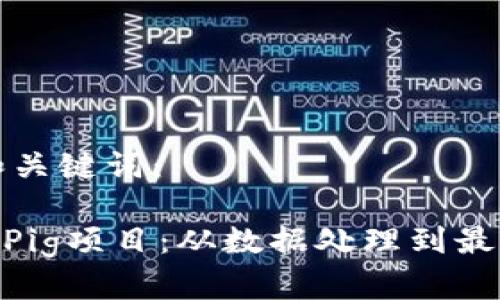 以下是您请求的和关键词：

Tokenim如何支持Pig项目：从数据处理到最佳实践的全面解析