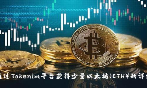 如何通过Tokenim平台获得少量以太坊（ETH）的详细指南
