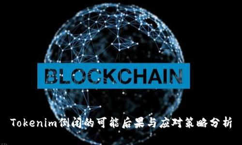 Tokenim倒闭的可能后果与应对策略分析