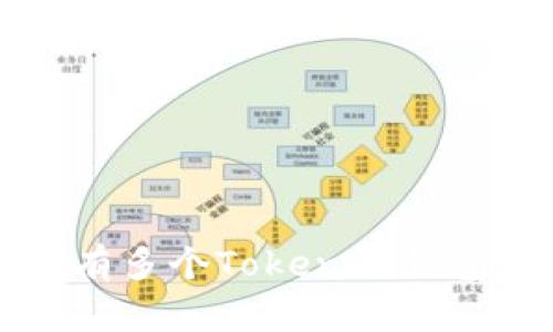 个人可同时持有多个Tokenim钱包的探索与实践
