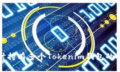个人可同时持有多个Tokenim钱包的探索与实践