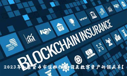 2023年加密货币市值排行榜：谁是数字资产的领头羊？