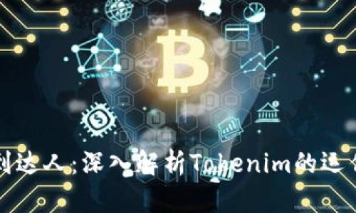 从小白到达人：深入解析Tokenim的运作及应用