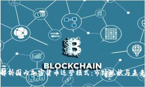 深度解析国内加密货币运营模式：市场现状与未来趋势