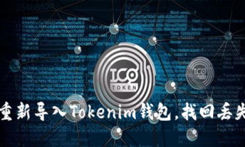 如何安全地重新导入Tokenim钱包，找回丢失的数字资产