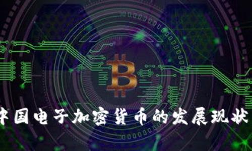 全面解析：中国电子加密货币的发展现状与未来趋势