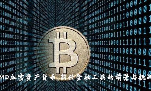 MD加密资产货币：新兴金融工具的前景与挑战