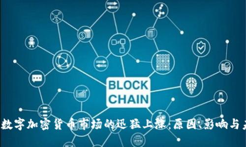 2023年数字加密货币市场的迅猛上涨：原因、影响与未来展望