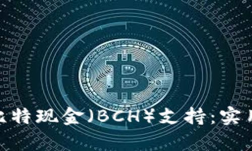 深入探讨Tokenim的比特现金（BCH）支持：实用指南与投资潜力分析