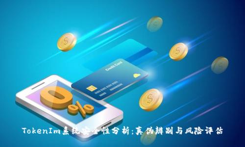 TokenIm系统安全性分析：真伪辨别与风险评估