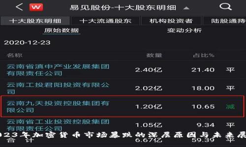 2023年加密货币市场暴跌的深层原因与未来展望