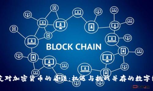 印度网友对加密货币的看法：机遇与挑战并存的数字经济探索