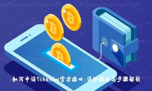 如何申请Tokenim官方接口：详细指南与步骤解析