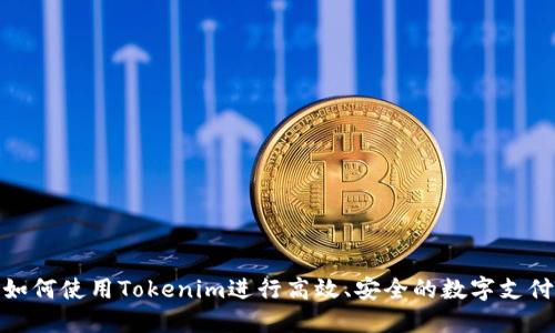 如何使用Tokenim进行高效、安全的数字支付