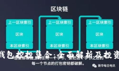 Tokenim钱包控投集合：全面解析及投资策略指南