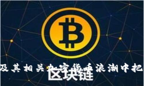 如何在IPFS及其相关加密货币浪潮中把握投资机会？