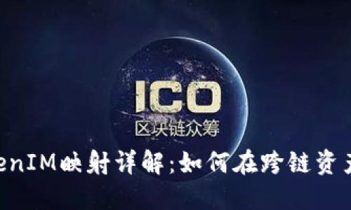 EOS生态系统中的TokenIM映射详解：如何在跨链资产管理中实现无缝流动