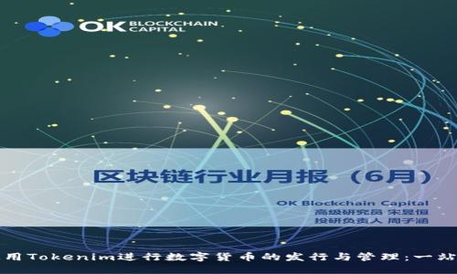 如何使用Tokenim进行数字货币的发行与管理：一站式指南