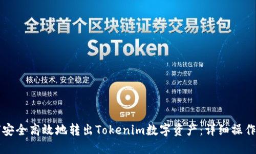 如何安全高效地转出Tokenim数字资产：详细操作指南