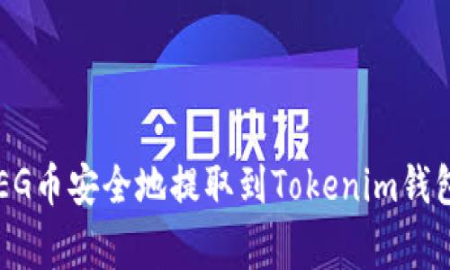 如何将抹茶交易所的FEG币安全地提取到Tokenim钱包：详细步骤和注意事项