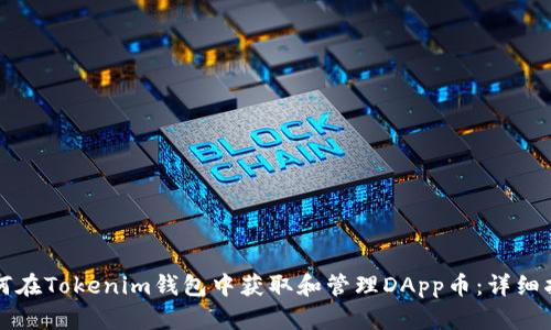 如何在Tokenim钱包中获取和管理DApp币：详细指南