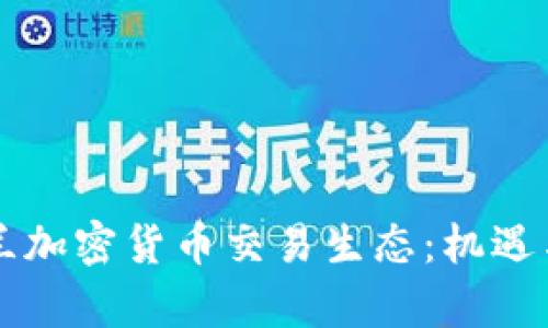 深入探讨乌克兰加密货币交易生态：机遇与挑战详细解析