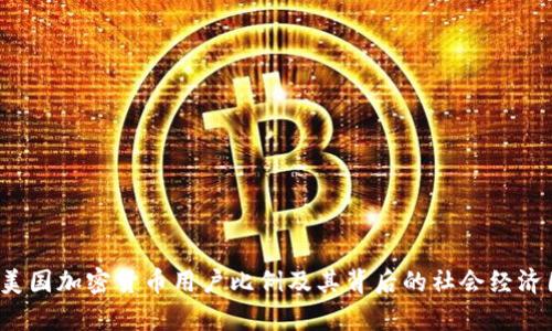 2023年美国加密货币用户比例及其背后的社会经济因素分析