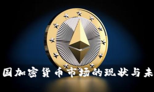 深入了解法国加密货币市场的现状与未来发展趋势