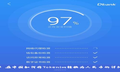 ### 在中国如何将Tokenim转换为人民币的详细指南