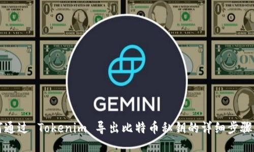 如何通过 Tokenim 导出比特币私钥的详细步骤指南