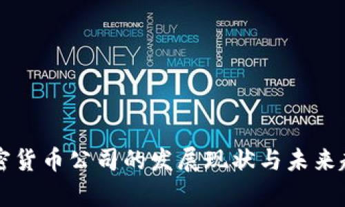 国内加密货币公司的发展现状与未来趋势解析