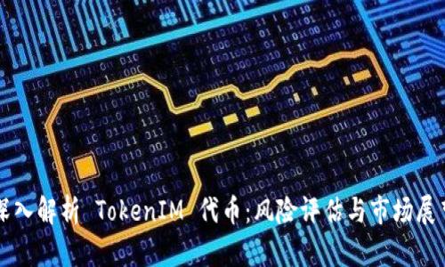 深入解析 TokenIM 代币：风险评估与市场展望