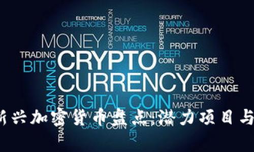 2023年全球新兴加密货币盘点：潜力项目与市场趋势分析