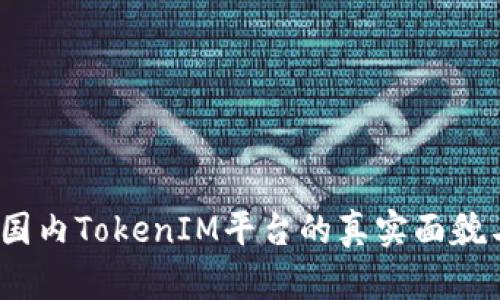深入揭秘：国内TokenIM平台的真实面貌与投资前景