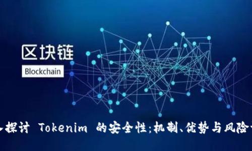 深入探讨 Tokenim 的安全性：机制、优势与风险评估