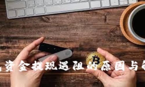 Tokenim钱包资金提现遇阻的原因与解决方案详解