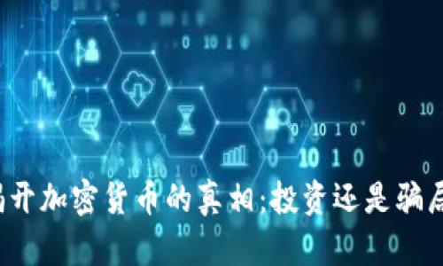 揭开加密货币的真相：投资还是骗局？