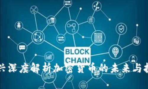 黄兴深度解析加密货币的未来与挑战