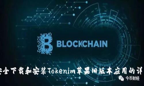 如何安全下载和安装Tokenim苹果旧版本应用的详细指南