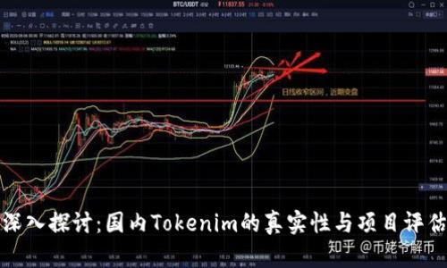 深入探讨：国内Tokenim的真实性与项目评估