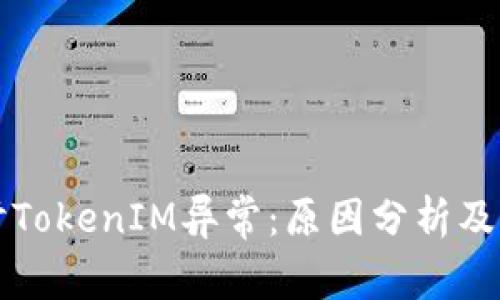 深入探讨TokenIM异常：原因分析及解决方案