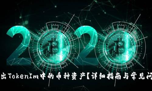 如何导出TokenIm中的币种资产？详细指南与常见问题解答