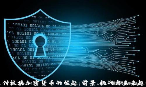 
支付板块加密货币的崛起：前景、挑战与未来趋势